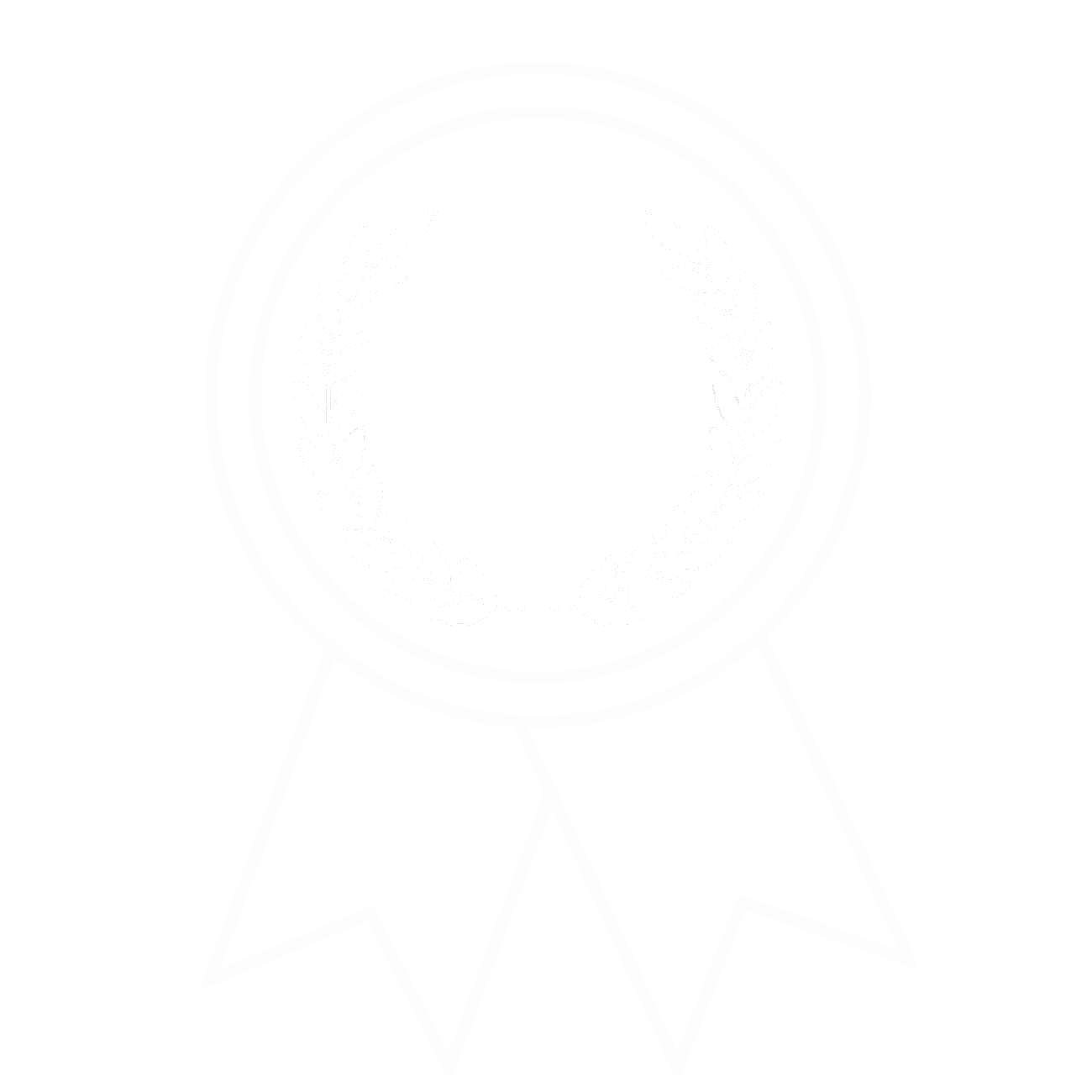 Project experience icon